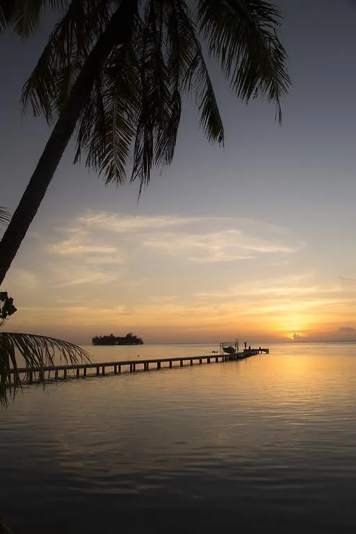 Hôtel Raiatea Lodge Uturoa Polinésia Francesa